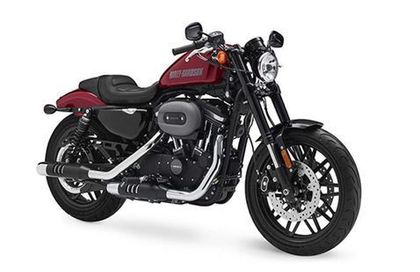 Harley Davidson Roadster STD v_roadster-std_16.jpg