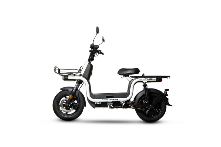 DelEVery Electric LX 200 Colors (3 colours) Electric LX 200 Color