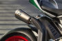 Ducati 1299 Panigale Exhaust View