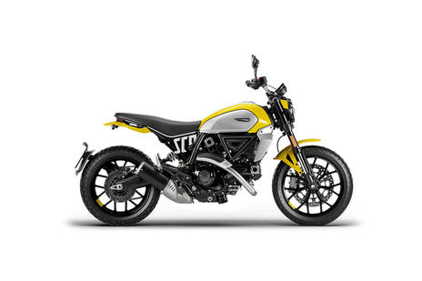 Ducati scrambler store 803 price