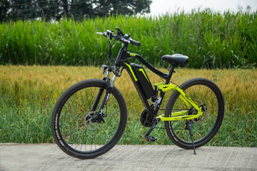 emotorad emx price