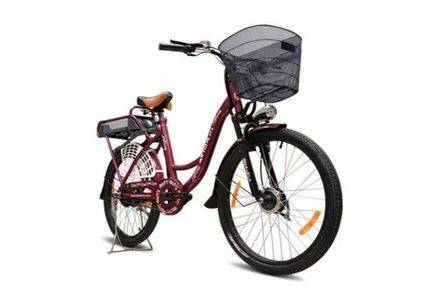 Battery operated best sale bicycle price