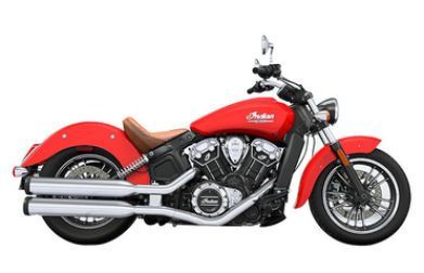 Indian Scout Std