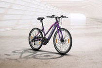 Lectro Glide Lady Lectro Glide Lady