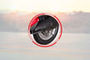 Lohia Oma Star La Rear Tyre View
