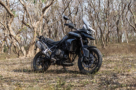 triumph tiger 900 on road price