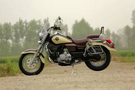 commando classic renegade 300 price