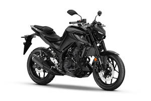 yamaha mt 6