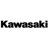 Kawasaki Bike Insurance