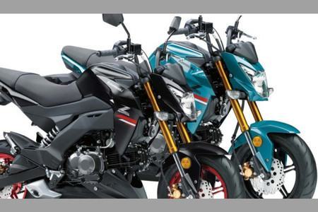 2021 Kawasaki Z125 Pro Launched With New Colour Schemes 2021 Kawasaki Z125 Pro Launched With New Colour Schemes