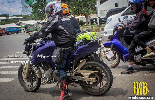 tvs apache 180 back shocker price