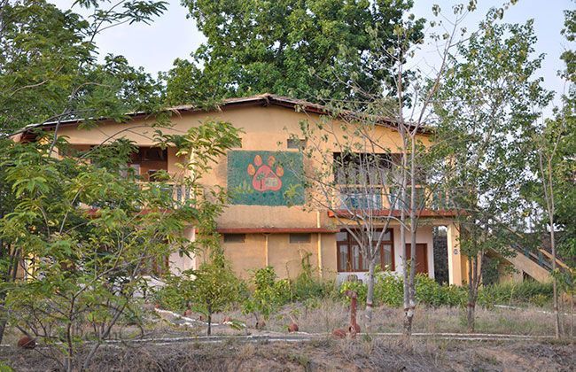 Royal Enfield Thunderbird 500