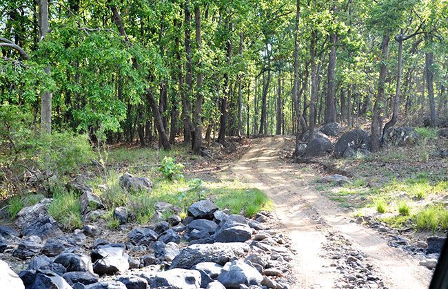 Royal Enfield Thunderbird 500