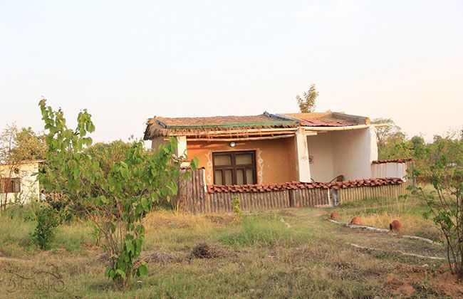 Royal Enfield Thunderbird 500