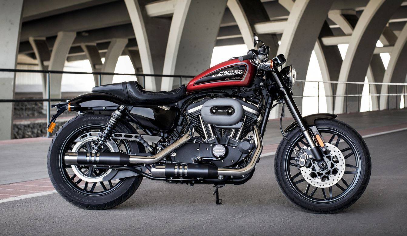 Exclusive: Harley-Davidson Forty-Eight, Iron 883, 1200 Custom To Be ...