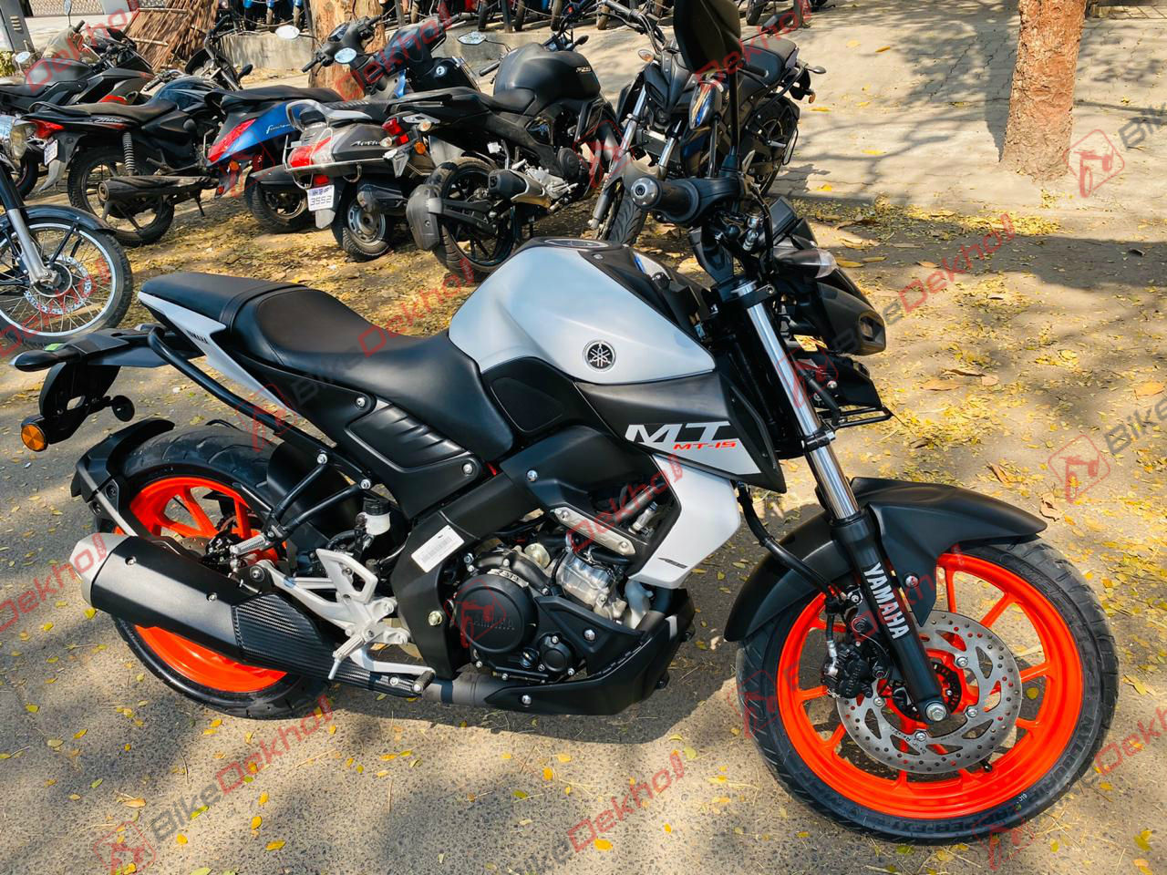 Yamaha MT-15 BS6 Starts Reaching Dealerships | BikeDekho