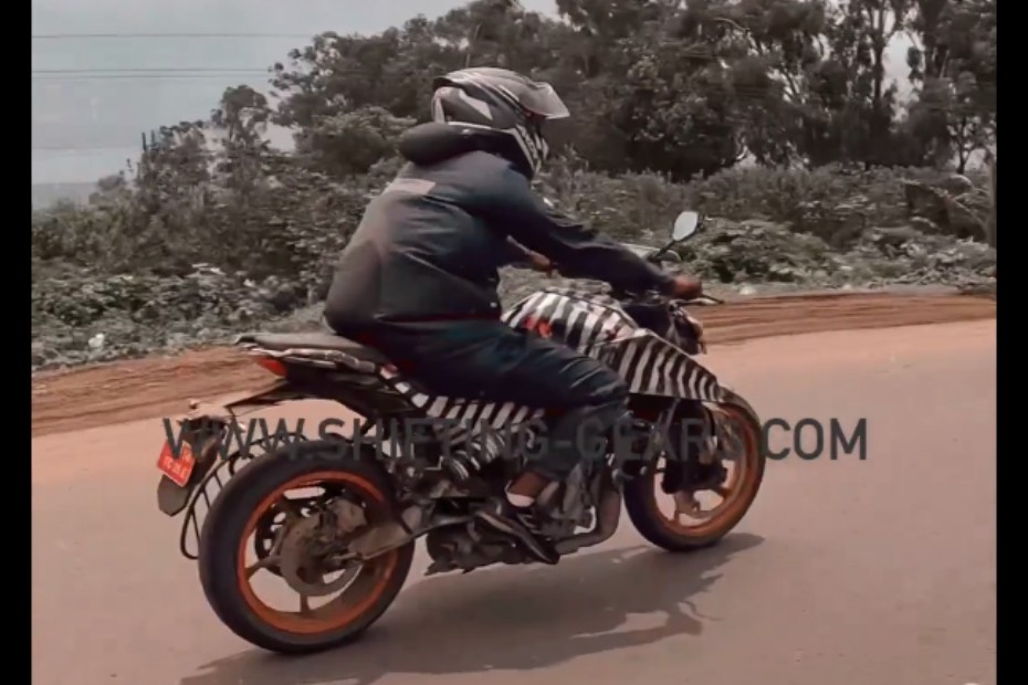 ktm 390 adventure vs husqvarna 401