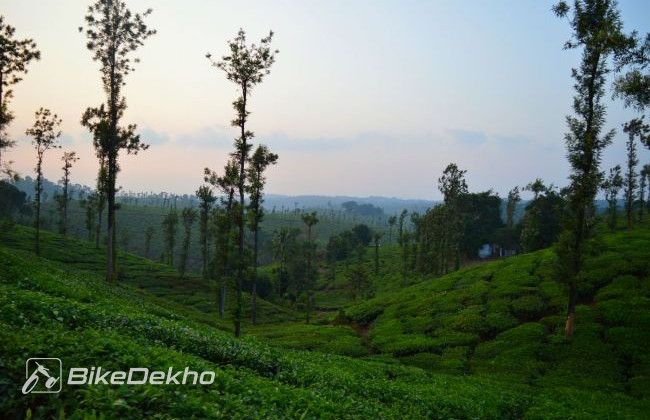 Mahindra Mojo Jungle Trail
