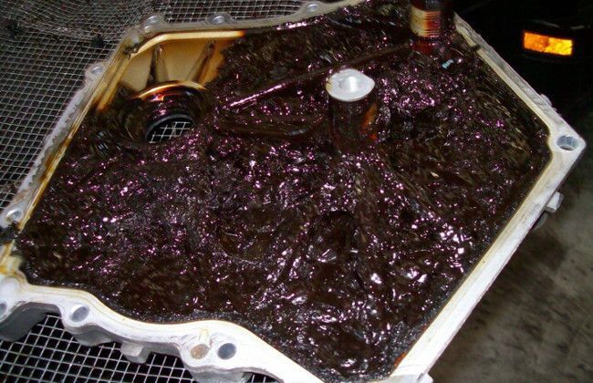 SHUT THE MUCK UP / SLAP THE SLUDGE – sludge and engine oil remedies